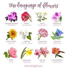 ‘’Assorted Flower’’ A Book On 11 Flowers And Their Symbolic Meaning’